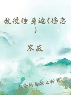 教授睡身边(婚恋)