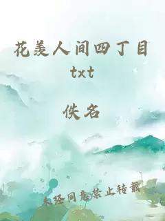 花羡人间四丁目txt