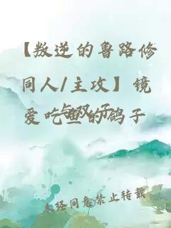 【叛逆的鲁路修同人/主攻】镜与双子