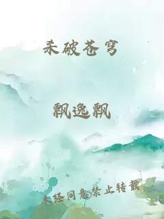 杀破苍穹