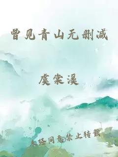 曾见青山无删减