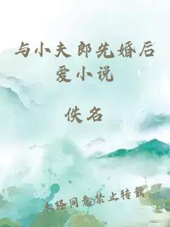 与小夫郎先婚后爱小说